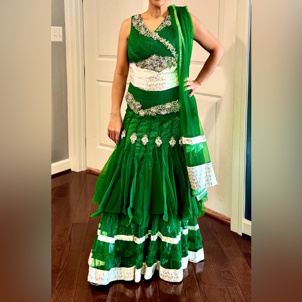 Elegant Green and silver Embellished Lehnga Skirt Set